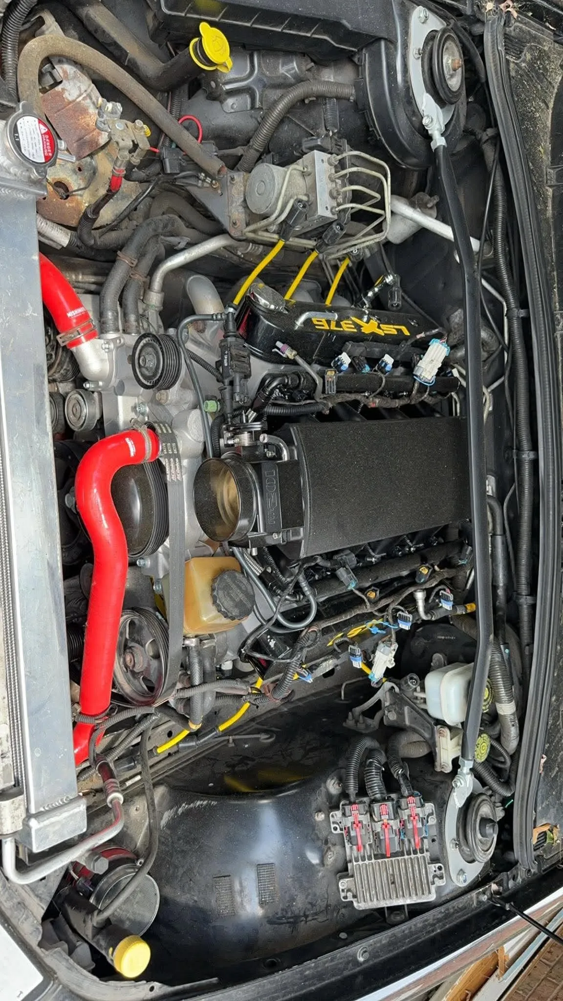 LS Engine Swap — Top-down view of a clean LS engine swap featuring a black intake manifold and red silicone hoses.